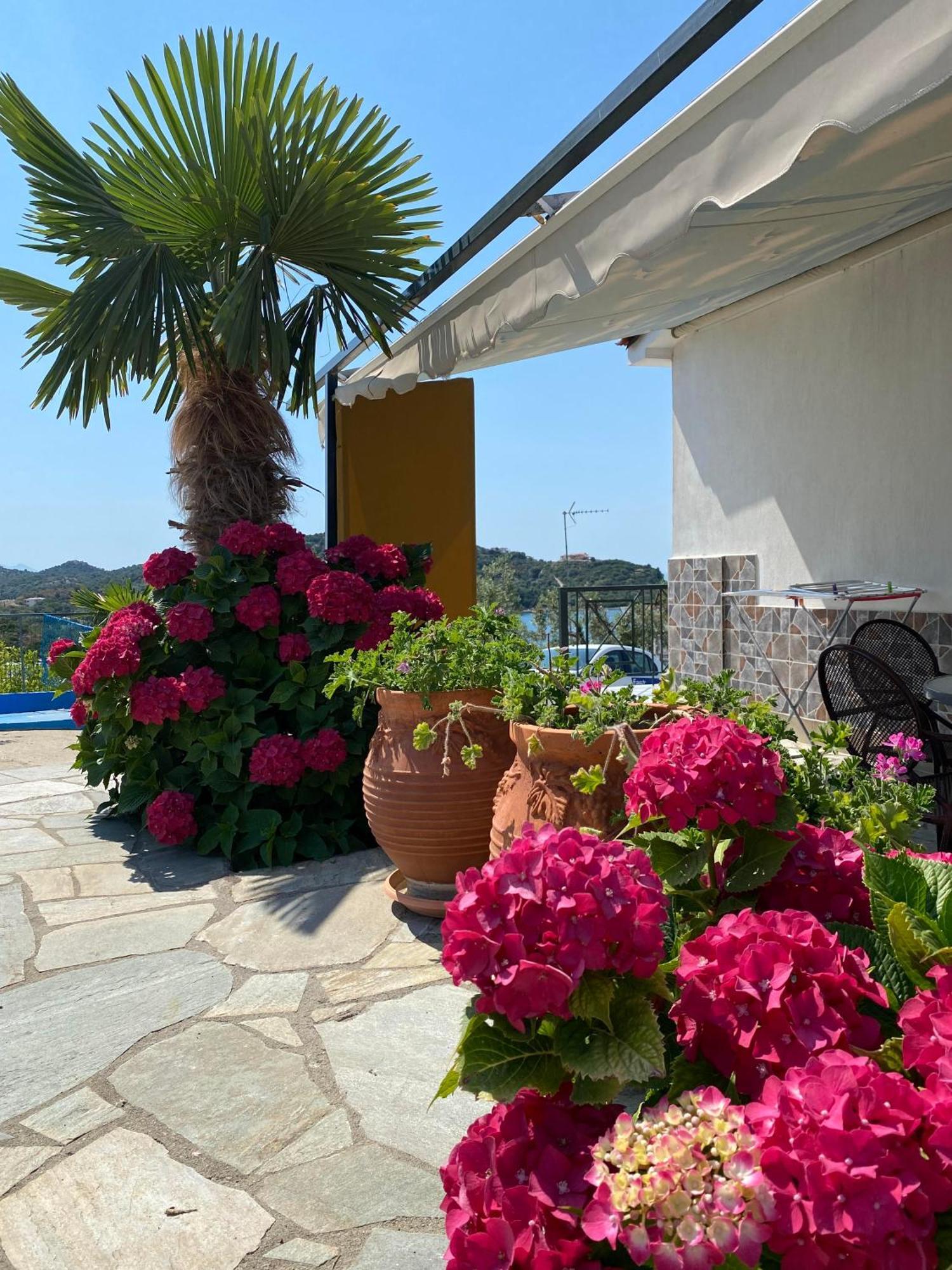 Demi Studios Amolianí Luaran gambar